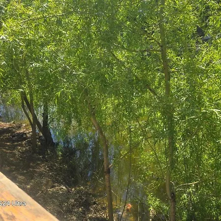 цветовете на слънцето Campsite Burgas